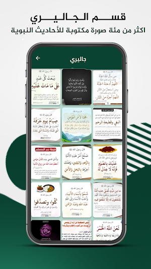 تفسير القرآن الكريم كاملا mb3 Screenshot 2