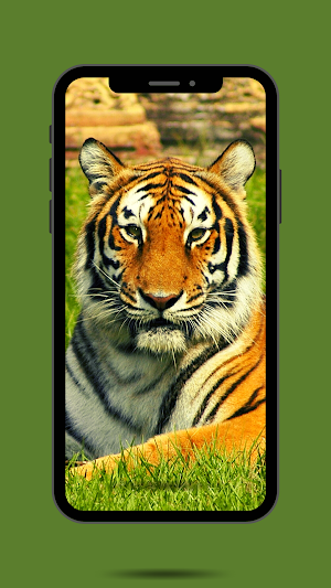 Tiger Ringtone Screenshot 1