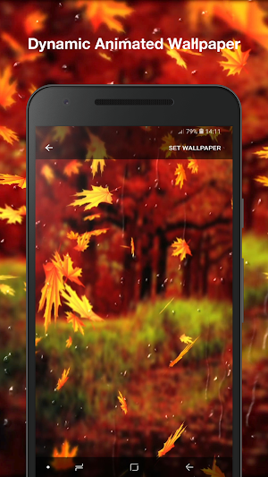 Beautiful Autumn Wallpaper Pro Screenshot 1