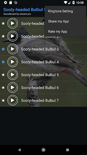 Sooty-headed Bulbul bird sounds ~ Sboard.pro Screenshot 3