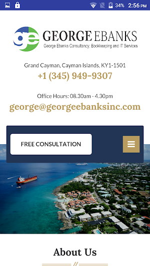 George Ebanks Consultancy Screenshot 0