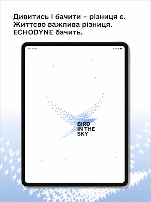 Bird in the sky Screenshot 3