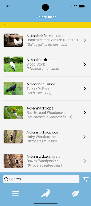 Apsáalooke Birds & Plants Screenshot 0