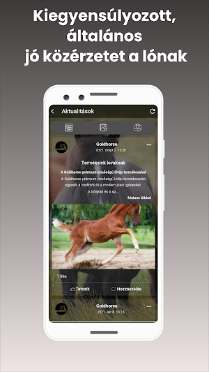 GoldHorse Screenshot 2