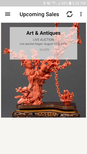 Circle Auction: Bid, Sell, Browse Screenshot 0