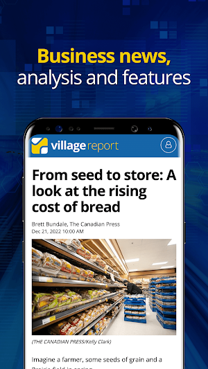Village Report Screenshot 1