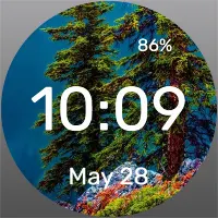 Pair of Pines - Watch Face