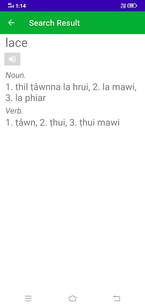 Mizo to English Dictionary Screenshot 3
