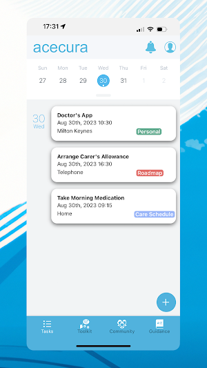 Acecura Screenshot 3