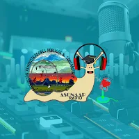 Asonaap Radio