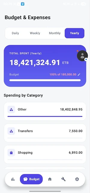 Habte Financial Tracker Screenshot 2