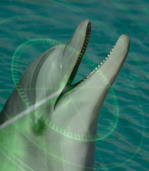 Ocean sonar sounds ~ Sboard.pro Screenshot 0