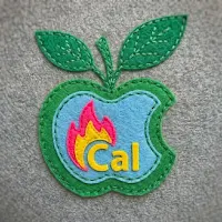 AI Calorie Counter & Tracker