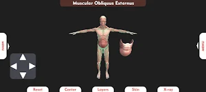 Irusu 3D Human Anatomy Screenshot 2