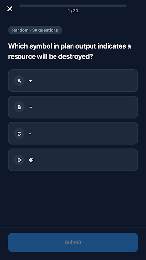 Terraform Associate Practice Screenshot 3