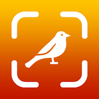 FotoBird Bird Identification