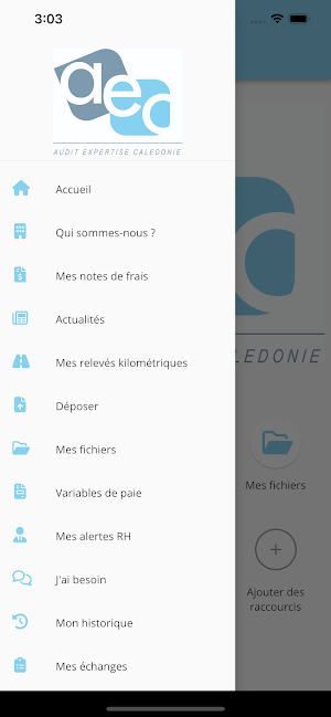 Audit Expertise Calédonie Screenshot 2