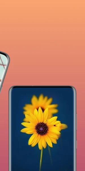 flowers wallpaper HD Screenshot 1