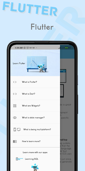Learning Flutter Screenshot 0
