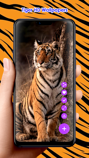 Tiger HD Wallpapers Screenshot 2