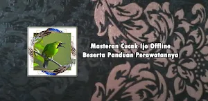Master Cucak Ijo Juara Offline Screenshot 0