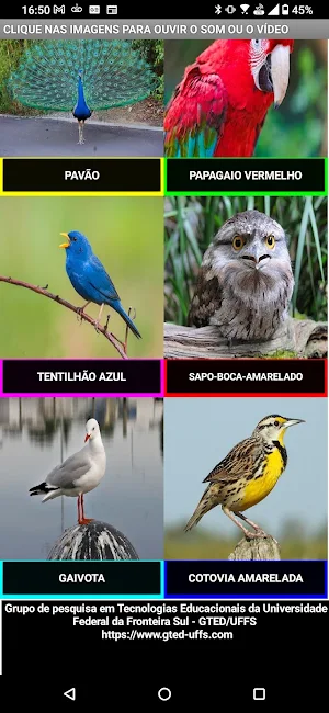 Gavião carijó e a voz das aves Screenshot 1