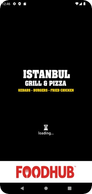 Istanbul Grill & Pizza Screenshot 0