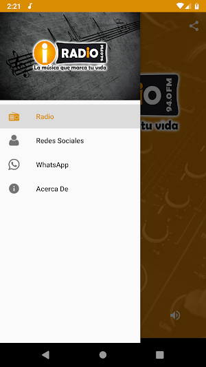 iRadio Screenshot 2