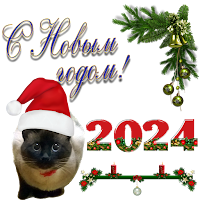 Happy New Year Stickers 2024
