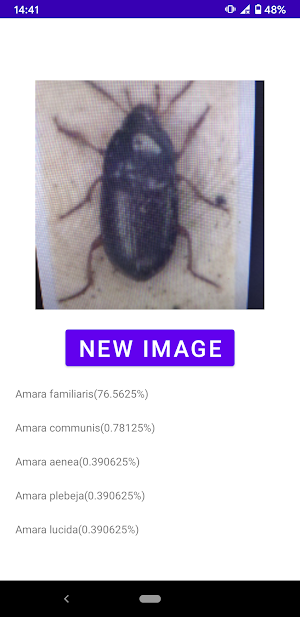 Insect identifier Screenshot 0