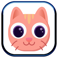 Keep Kitty Safe