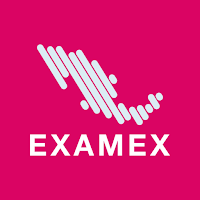 Examex