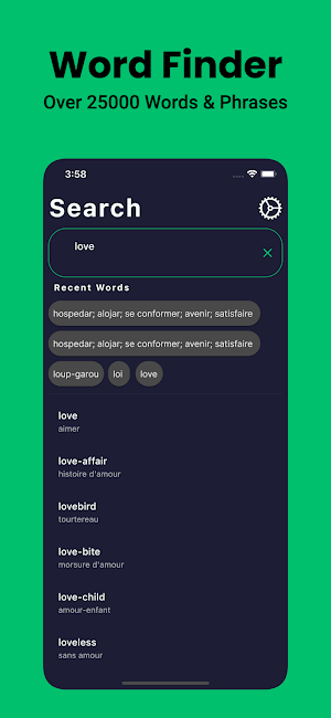 French Dictionary English Screenshot 2