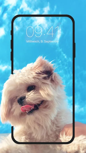 Cute Puppy Live Wallpapers HD Screenshot 0