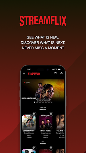StreamFlix Screenshot 0