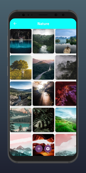 HD Wallpaper Gallery Screenshot 2