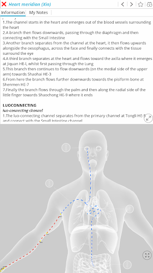 Visual Acupuncture 3D Screenshot 1