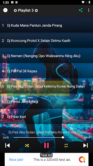 Dj Remix Raiso Dadi Siji Screenshot 1