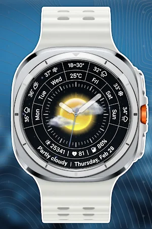 nbWatch Weather Pro WFF Screenshot 1