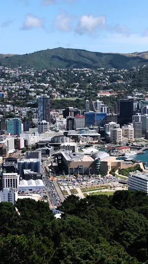 Wellington Wallpaper Screenshot 0