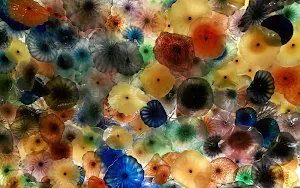 Jellyfish Wallpaper HD Screenshot 3