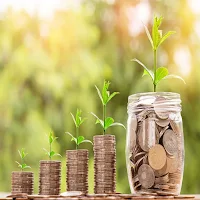 Money Tree by Vadiraj