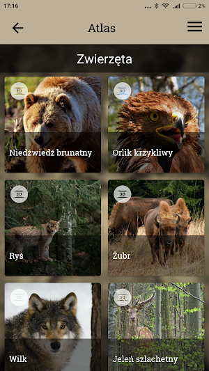 Bieszczadzka Kolejka Leśna Screenshot 1