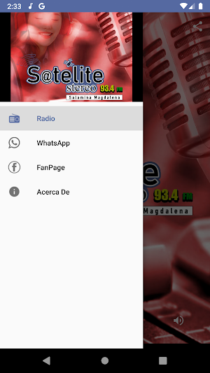 Satelite Stereo Screenshot 2