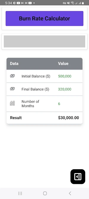 Burn Rate Calculator Screenshot 1