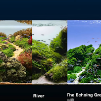 Aquascape Layout Design 2
