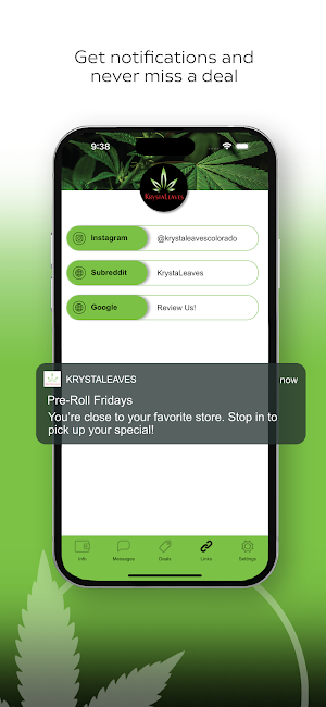 KrystaLeaves Screenshot 2