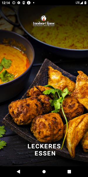 Tandoori flame Unterföhring Screenshot 1