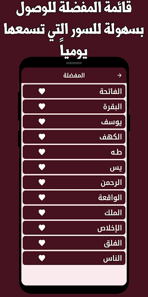 قران كامل بيشه الكردي بدون نت Screenshot 2
