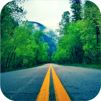 Road Wallpaper